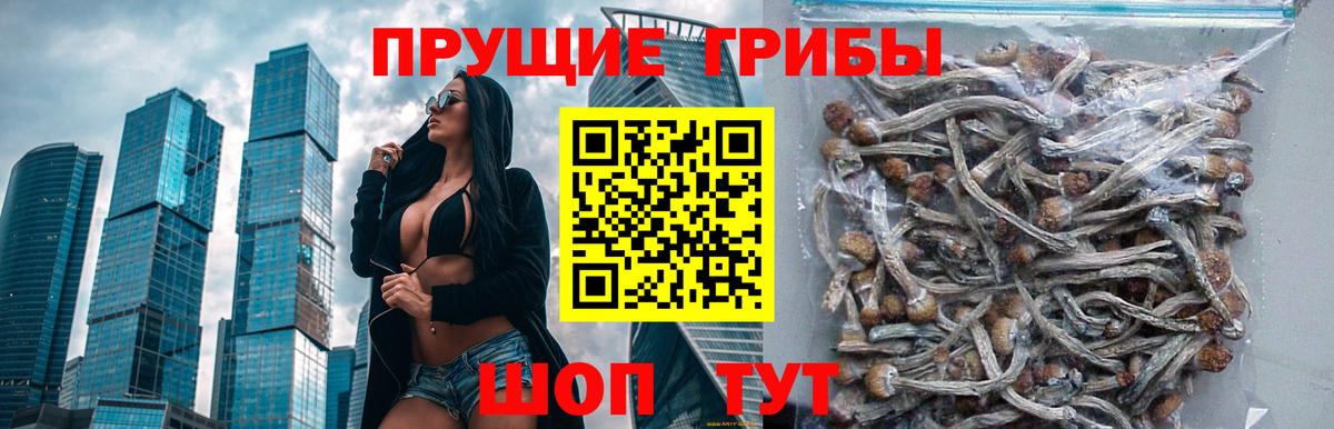 где можно купить   Вход с VPN  Миасс  Галлюциногенные грибы ЛСД 